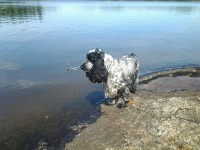 /album/ilpo/whoo13-382-jpg/